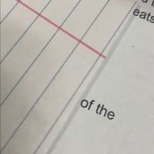 Meet your Posher, Jenn